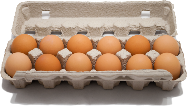 egg carton